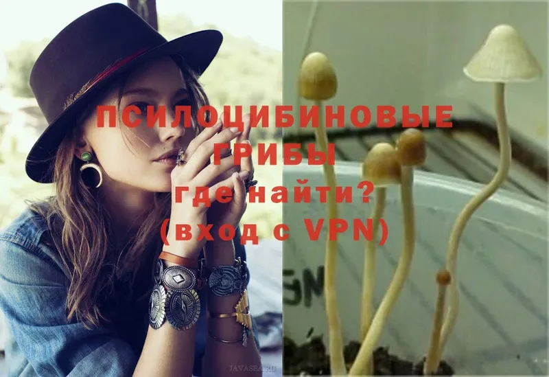 Галлюциногенные грибы Magic Shrooms  Медынь 